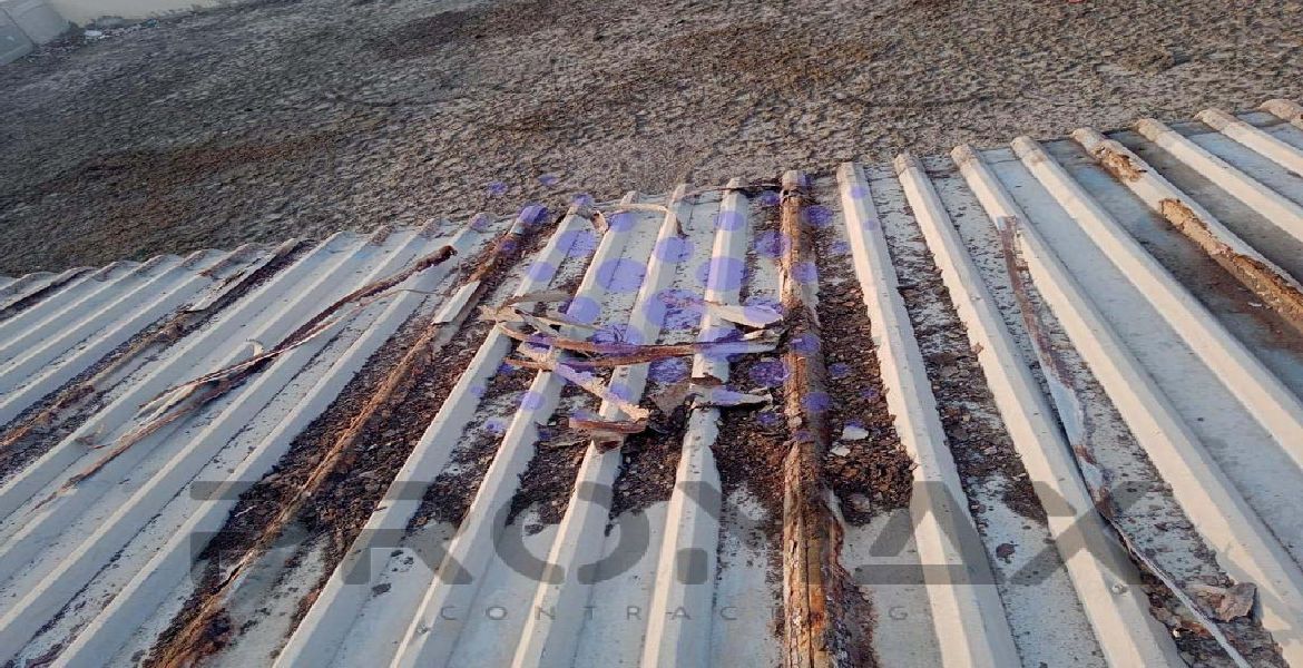 Hamly Internationall Musaffah - metal roof waterproofing project by Promax in Dubai, UAE